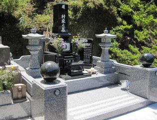 �����΍ގ���E���юʐ^/�a�^���